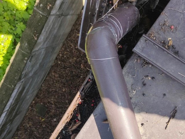 雨樋　落ち葉　詰まり